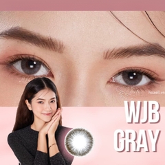 Lens WJB210 Gray 0.00