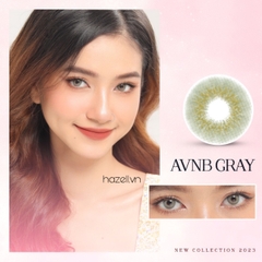 Lens AVNB210 Gray