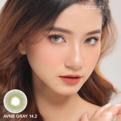 Lens AVNB210 Gray