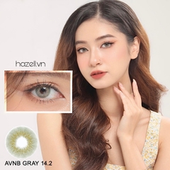 Lens AVNB210 Gray