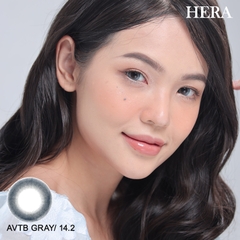 Lens AVTB210 Gray