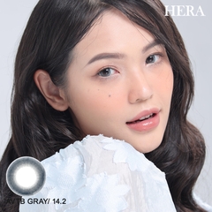 Lens AVTB210 Gray