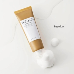 Sữa rửa mặt Skin1004 Madagascar Centella Ampoule Foam 125ml - HÀNG NHẬP KHẨU