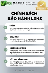 Lens H34 Brown 0.00 ( Một ngày )