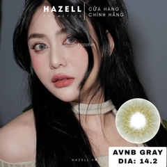 Lens AVNB210 Gray