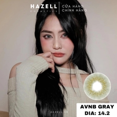 Lens AVNB210 Gray