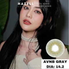 Lens AVNB210 Gray