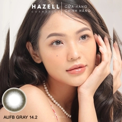 Lens AUFB210 Gray