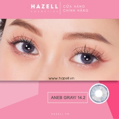 Lens ANEB310 Gray