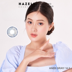 Lens ANEB310 Gray