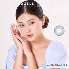 Lens ANEB310 Gray