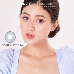 Lens ANEB310 Gray