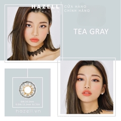 Lens TEA310 Gray
