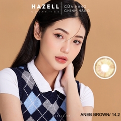 Lens ANEB320 Brown