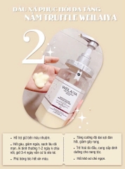 Bộ gội - xả phục hồi đa tầng Nấm Truffle WEILAIYA Perfume Repair Series 450ml - HÀNG NHẬP KHẨU