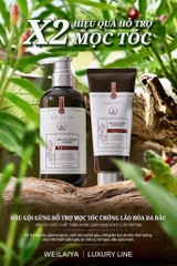 Bộ gội xả gừng thảo mộc x2 tinh chất Weilaiya Zingiber 420mlx200ml ( nâu )