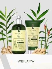 Bộ gội xả gừng x2 tinh chất Weilaiya Zingiber Detox 420mlx200ml ( xanh )