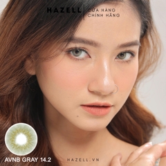 Lens AVNB210 Gray