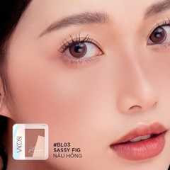 Phấn má hồng + bắt sáng VACOSI Flaso Blush Set VP12 8.3g - HNK