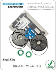 Seal Kits C2.184.1051