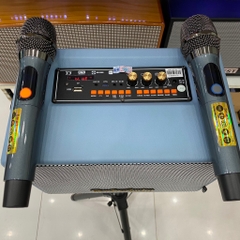 Loa xách tay karaoke VHM 5V31