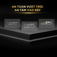 [MADE IN THAILAND] Bếp Từ Đôi BlueStone ICB-6949 5200W - Miễn phí lắp đặt, cắt đá