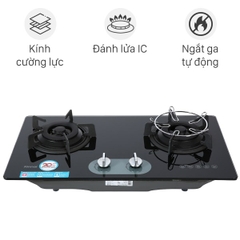 Bếp gas âm Rinnai RVB-220G(BG)
