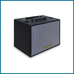 Loa karaoke xách tay VHM 8V8T
