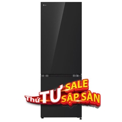 Tủ lạnh LG Inverter 335 lít LBB33BLGA