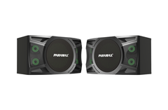Loa Karaoke Bass 25 PARAMAX P-1000