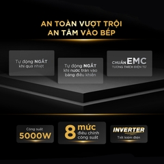 Bếp Từ Đôi BlueStone ICB-6825 5000W - Miễn phí lắp đặt, cắt đá