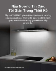 Bếp điện từ đôi Panasonic KY-R72AELYUE