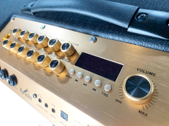 Loa karaoke xách tay BEST S20