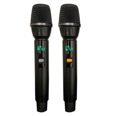 Loa karaoke xách tay BEST S20