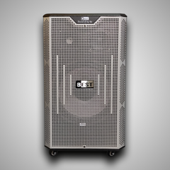 Best Audio BEST S30