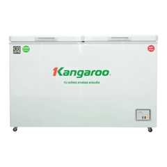 Tủ đông kháng khuẩn 252 lít Kangaroo KG252C2N