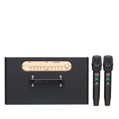 Loa karaoke xách tay SONCAMEDIA CS480PRO X2 180W RMS kèm 2 micro