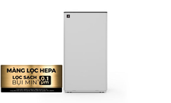 Máy lọc không khí có chức năng hút ẩm Sharp DW-T30FV-W