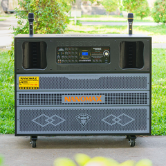Loa Kéo Điện Nanomax Pro-704 Bass Đôi 50cm 3600w