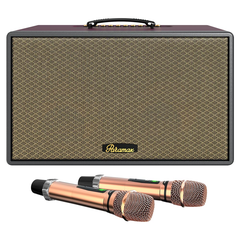 Loa hát karaoke xách tay Paramax Saga