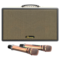 Loa hát karaoke xách tay Paramax Saga