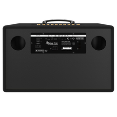 Loa hát karaoke xách tay Paramax Saga