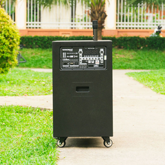 Loa Kéo Bình & Điện Nanomax Pro-218C Bass Đôi 50cm 3000w