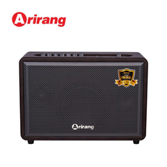 Loa karaoke xách tay Airang AM2 PMPO 320W / RMS 80W