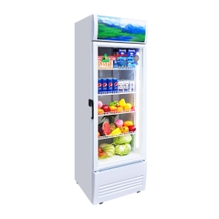 Tủ mát Sanaky 240 lít VH-3088K