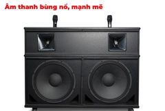 Loa kéo CAVS PA215 bass 40cm 600W
