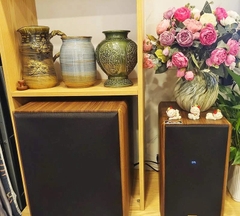 Dàn karaoke mini GD06 (Kadma BS36i Sub Su30)