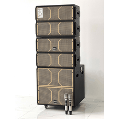 Loa karaoke Array KTV Bass 50cm