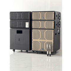 Loa karaoke Array KTV Bass 50cm