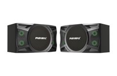 Loa Karaoke 12-inch Paramax P-2000